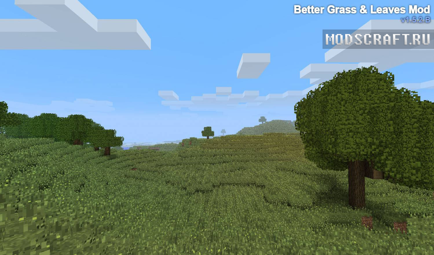 BetterGrassAndLeaves мод для minecraft 1.5.2